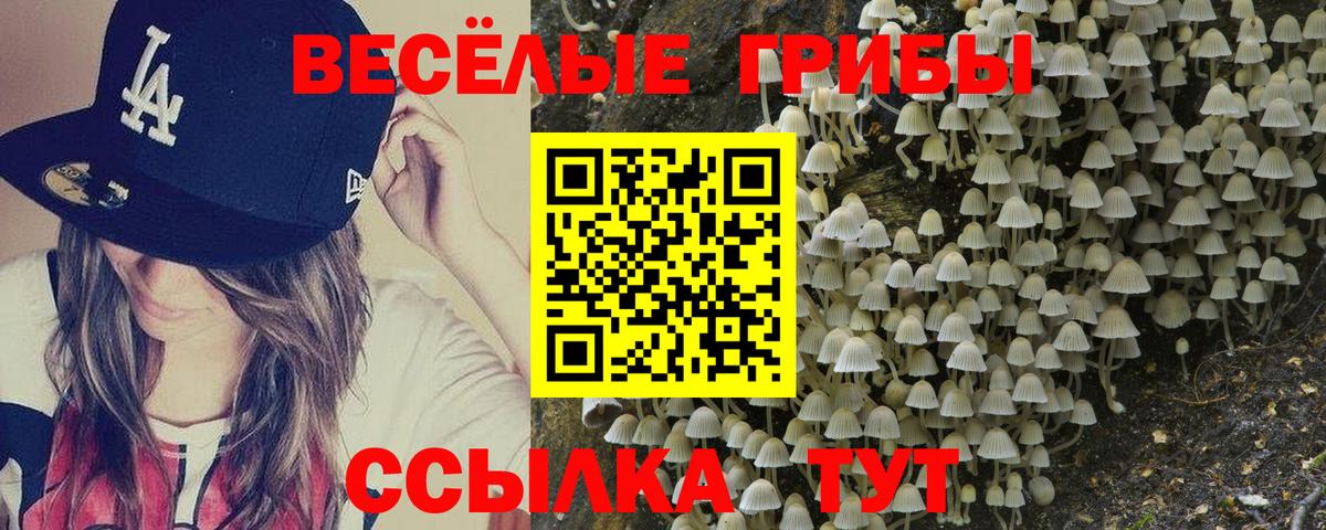 Саратов  Псилоцибиновые грибы Cubensis  Вход с VPN 