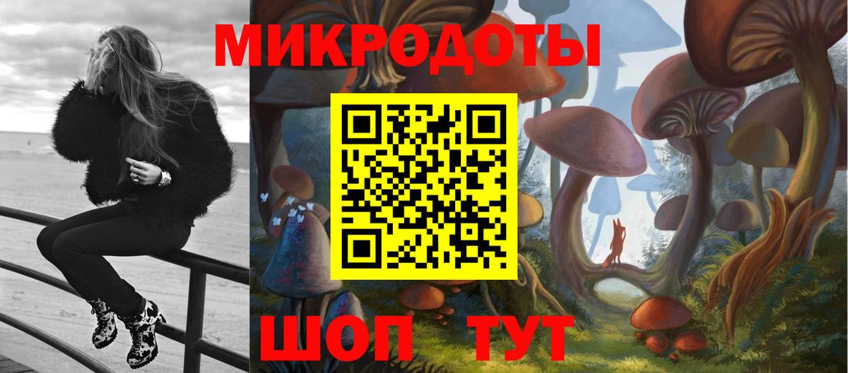 Галлюциногенные грибы Cubensis Саратов